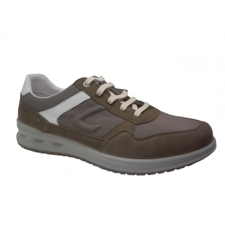 43041V62 GRISPORT VESUVIO - 62 FIENO
