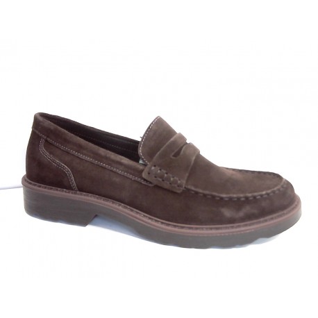 6609833 IGI&CO SCAMOSC.TREND - CAFFE