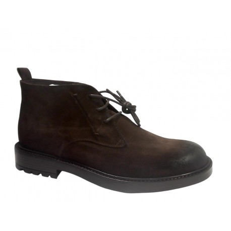 2239 EXTON ANTICATO - TERRA