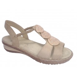 27239-79 ARA HAWAII - CAMEL