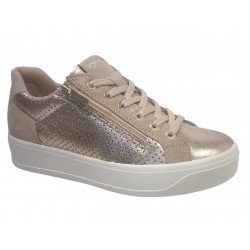 1144555 IGI&CO VIT.NEW VINTAGE - CHAMPAGNE