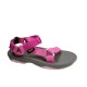 1019390C TEVA - SRRS SPECK RASPBERRY