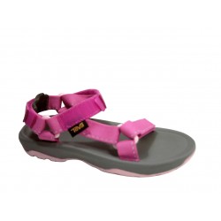 1019390C TEVA - SRRS SPECK RASPBERRY