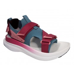 1156131 TEVA AVENTRAIL W - LPR