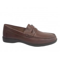 7612011 IGI&CO VITELLO ALFA - MARRONE SC