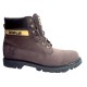 44100950 CAT COLORADO - CHOCOLADE