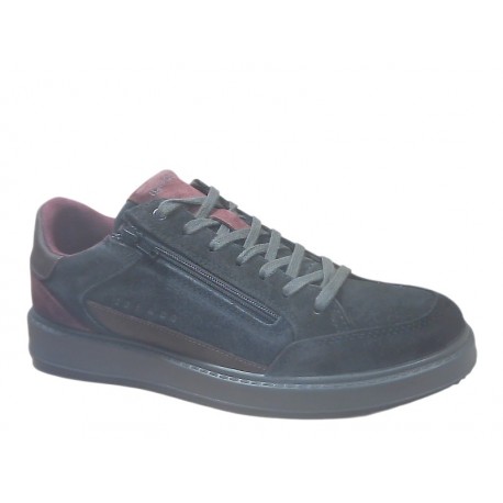 2132411 IGI&CO SCAM.RUST/S.NAB - BLU/BORDO